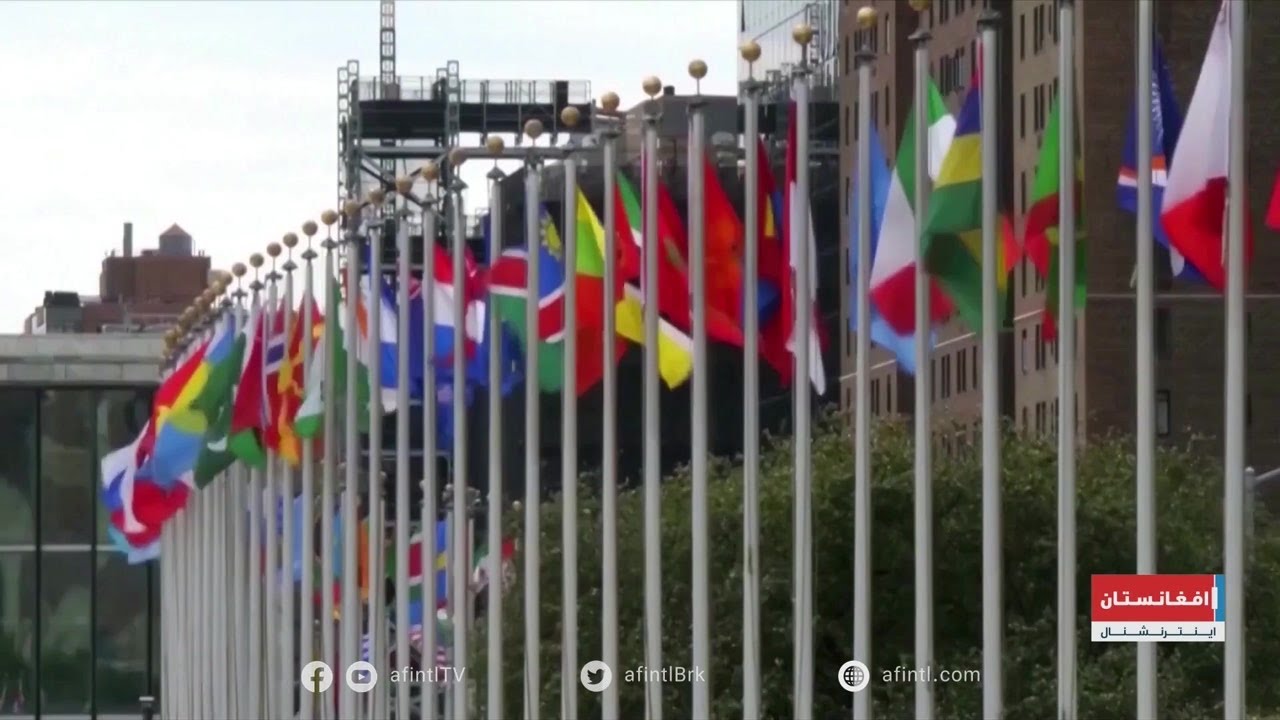 د یوناما راپور، طالبان او بشري سرغړونې
