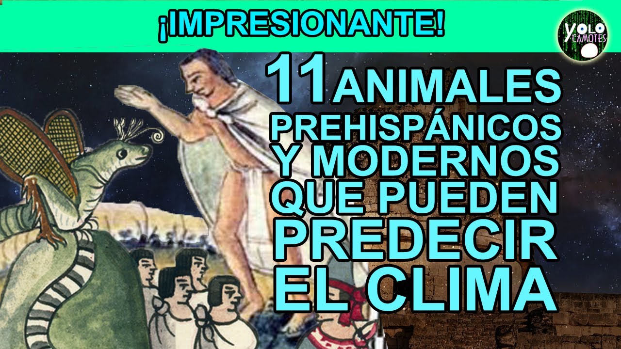 11 Animales prehisp&aacute;nicos y modernos que pueden predecir el clima y 1 m&aacute;s.