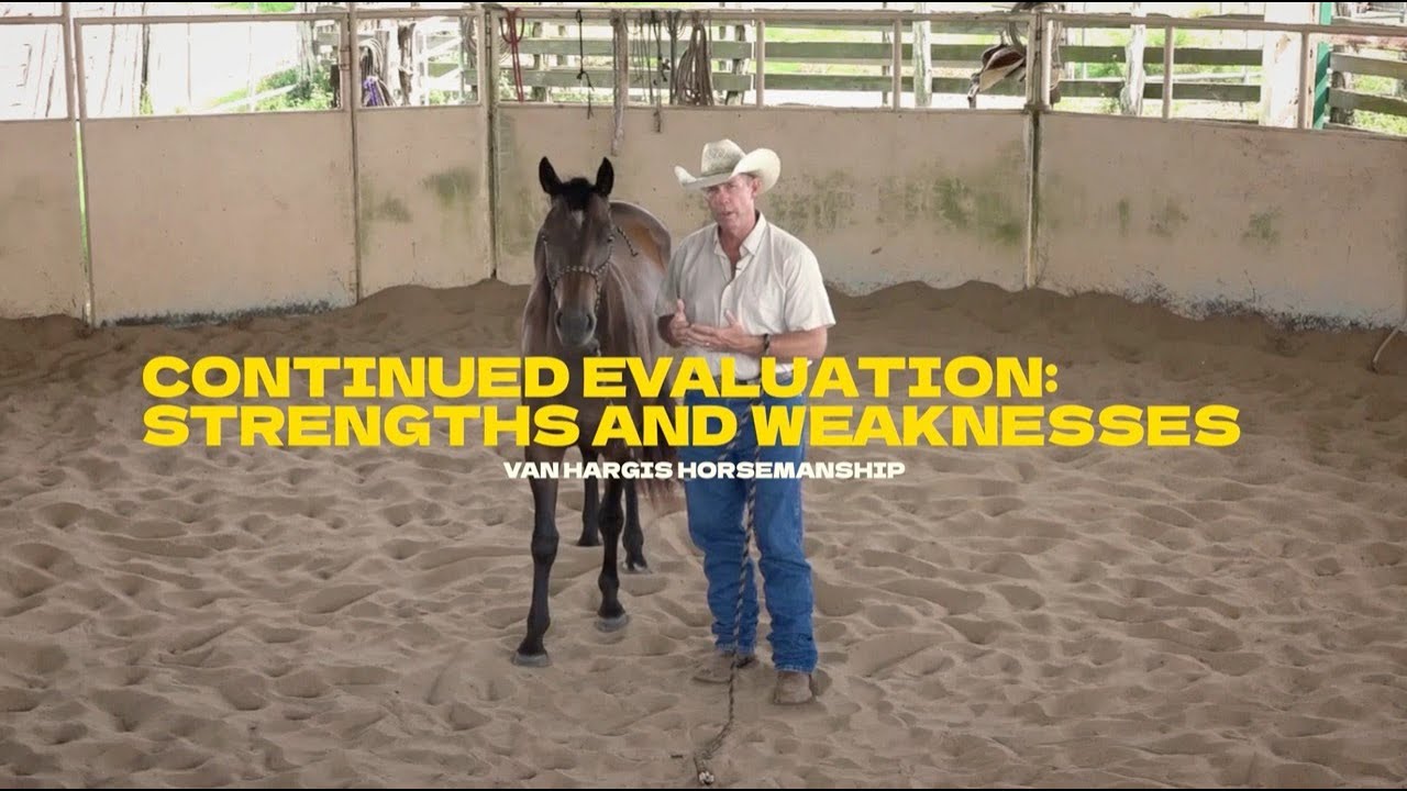 Horse Evaluation: Strengths and Weaknesses