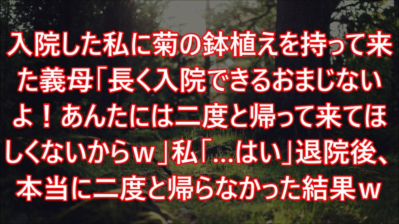 入院した私に菊の鉢植えを持って来た義母「長く入院できるおまじないよ！あんたには二度と帰って来てほしくないからｗ」私「…はい」退院後、本当に二度と帰らなかった結果ｗ