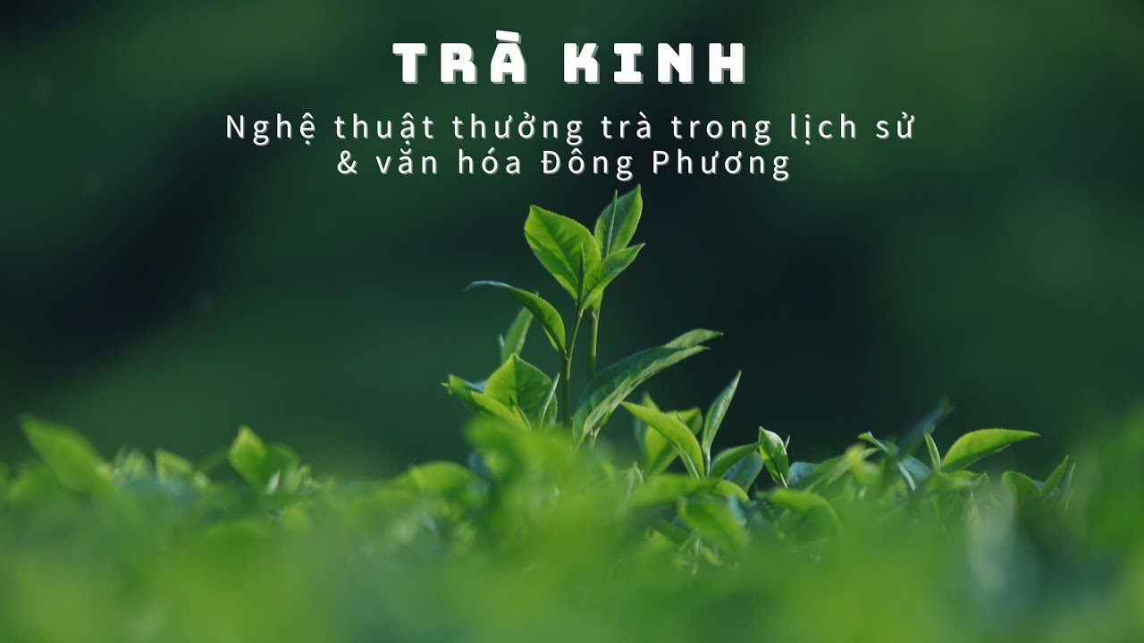 Trà Kinh - Trà Đạo | Nghệ thuật thưởng Trà Lịch sử và văn hóa Đông Phương