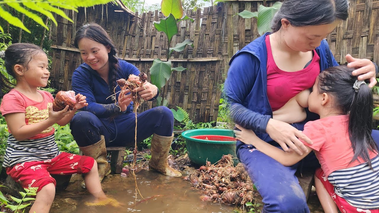 The life of a single mother and her child digging purple taro to cook and sell at the market.