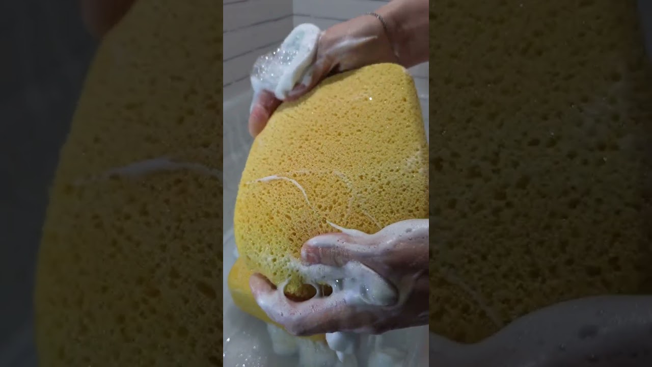 ASMR/soap/sponge squeezing#asmrvideo#asmrspongesqueezing#relax#powder#foryou#squeezingsponges