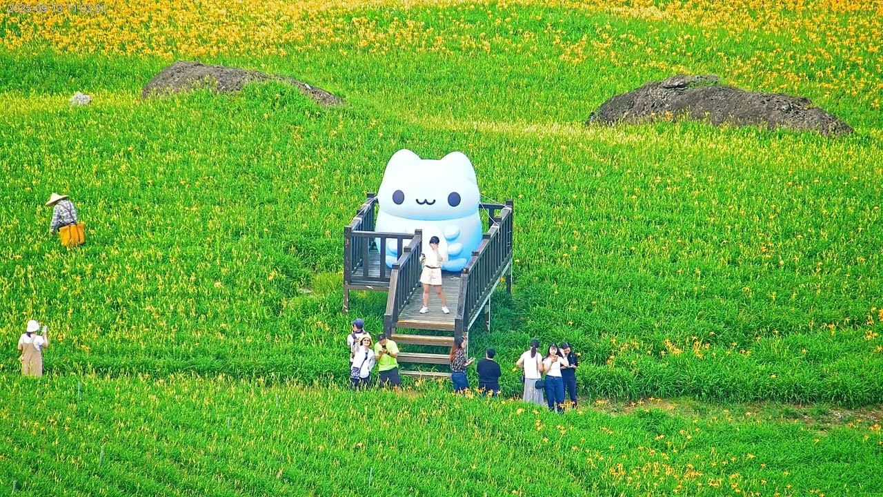 花東縱谷即時影像-六十石山 2025年金針花、星空縮時攝影