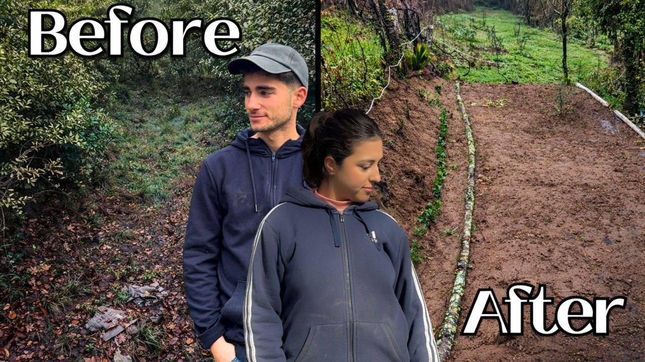 How We Turned a Jungle Into a Garden in Just 2 Days