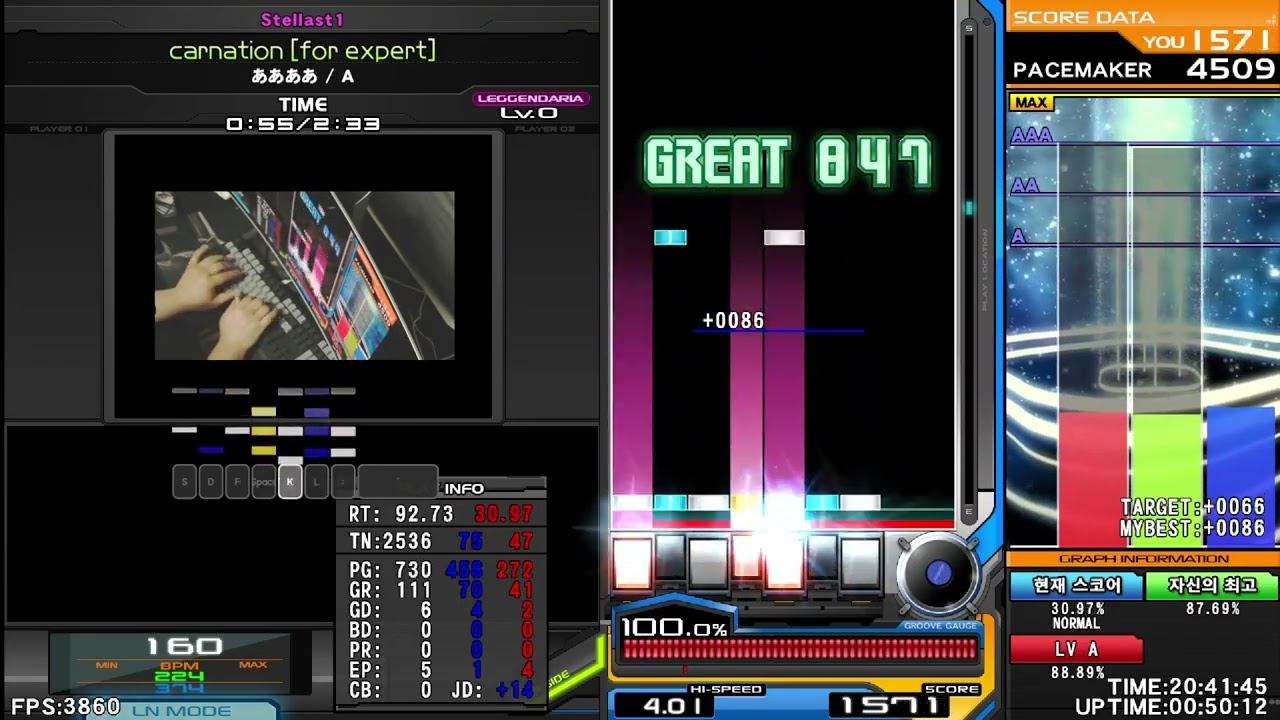 st1 carnation AAA