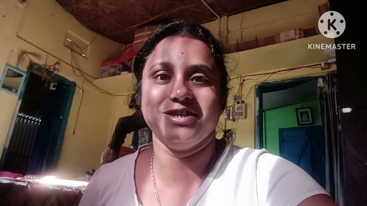Bengali vlog # বাড়ি থেকে একদিনের রান্নার জোগাড় করলাম ‌😊