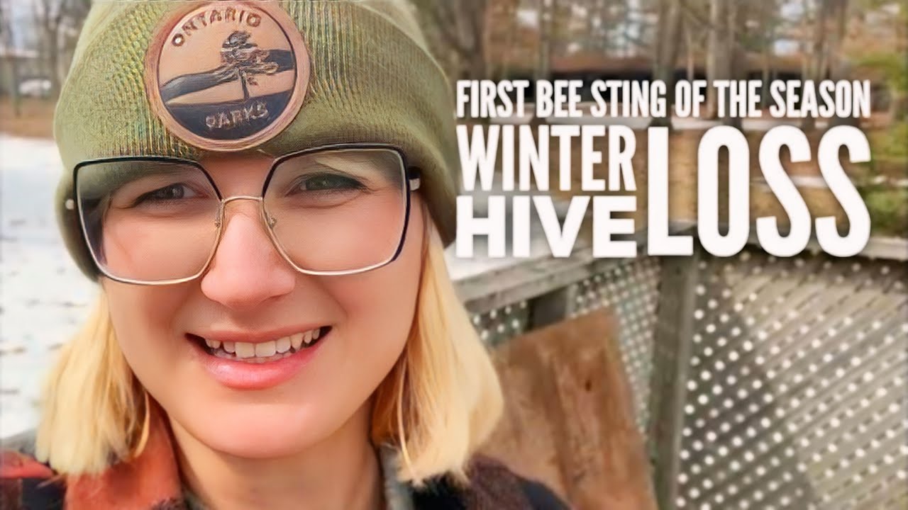 First Bee Sting of 2023! Early Spring Hive Loss | Beekeeping Challenges in Fluctuating Weather