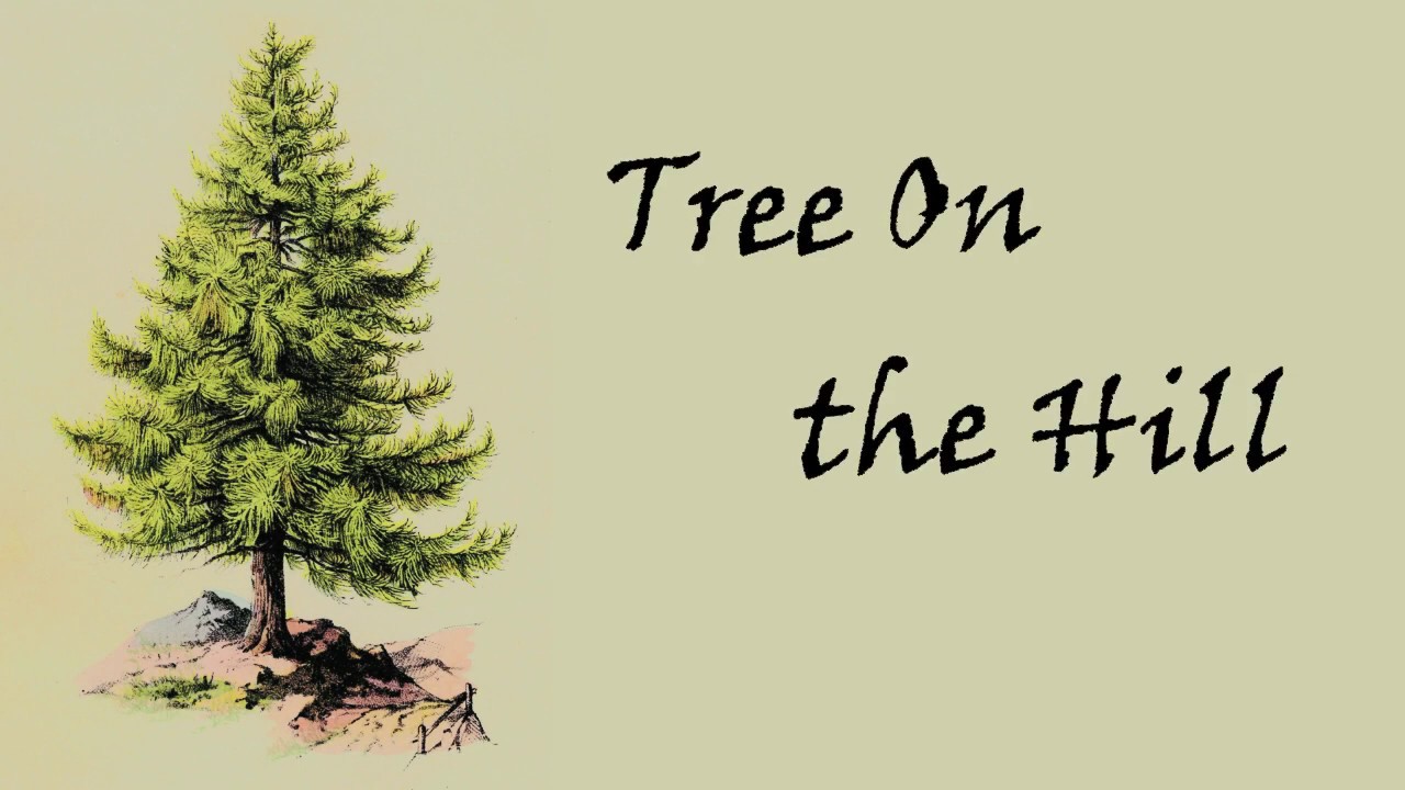 Tree On The Hill (Lyric Video) | The Lightning Thief (The Percy Jackson Musical)