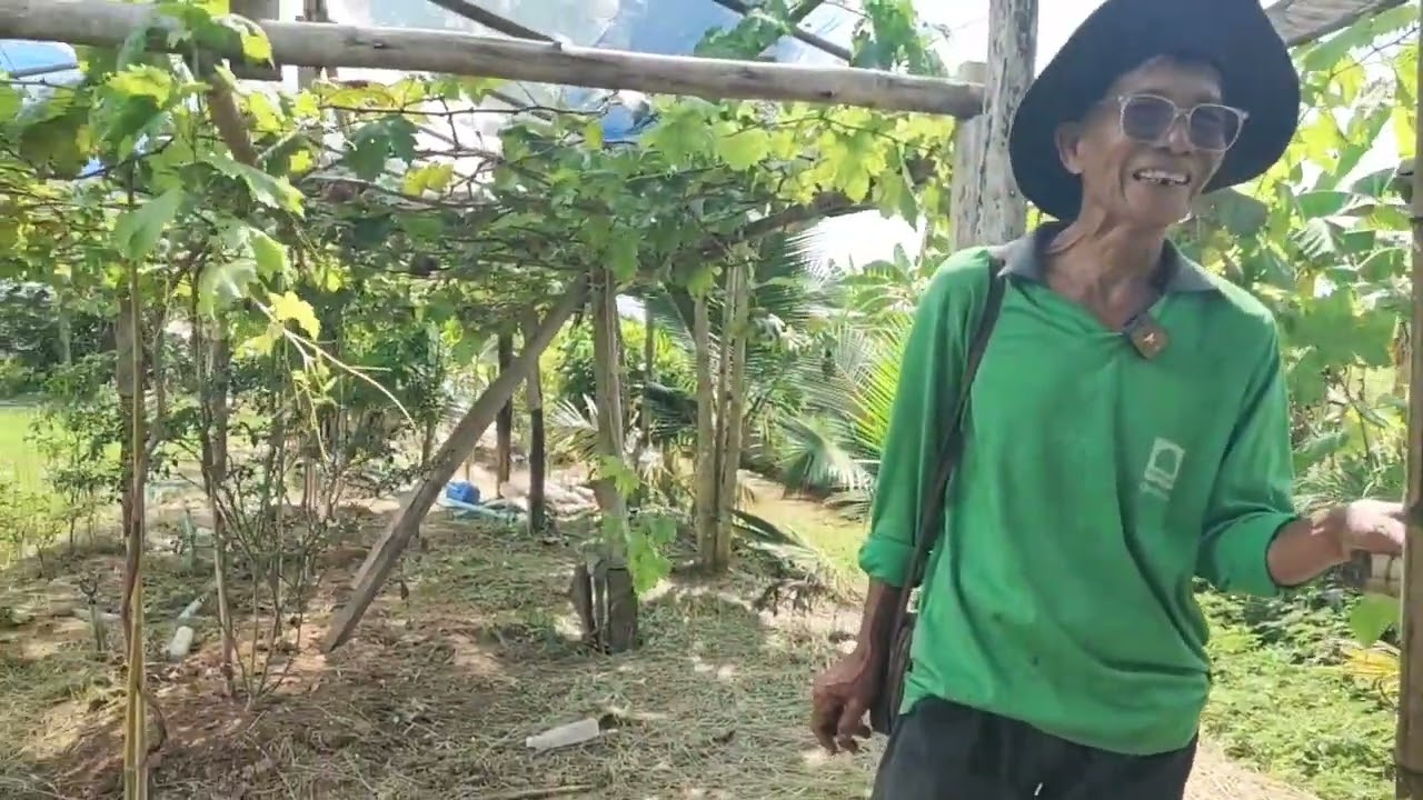 โคกหนองนาแห่งศรัทธา มีหลายอย่างที่อยากกิน ที่บ้านแข้ อ.ภูเขียว