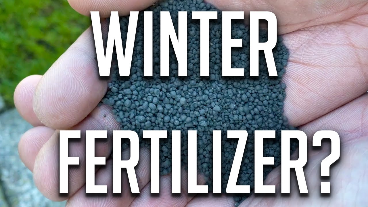 Winter Fertilizer? Should you apply fertilizer during winter or is it a waste of money?