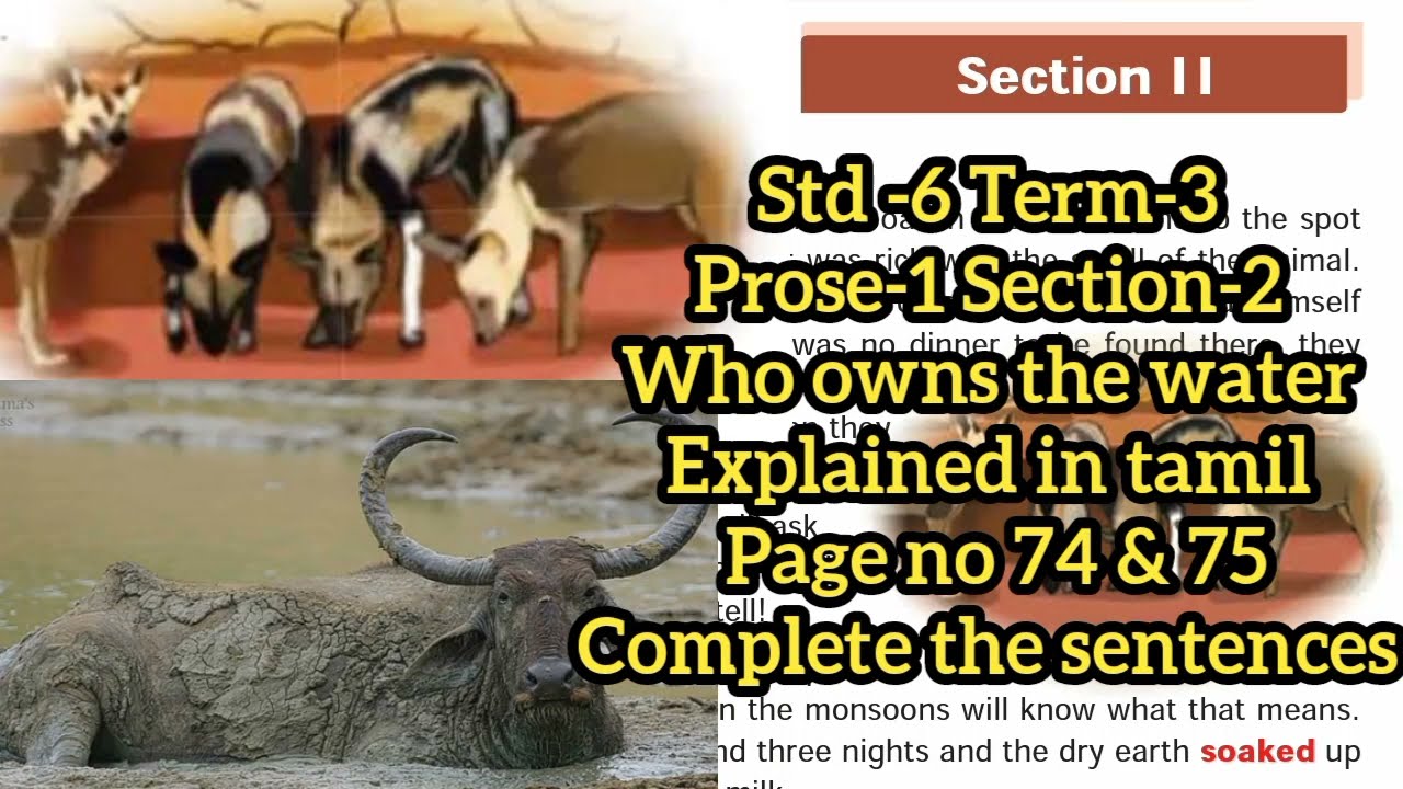 Who owns the water Section-2 Std -6 English Term 3 prose -1 page 74 & 75 TN Samacheer kalvi தமிழில்