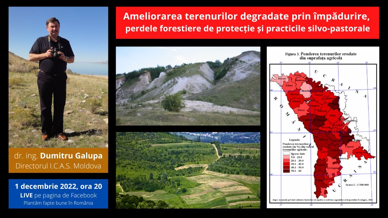 Ameliorarea terenurilor degradate prin împădurire