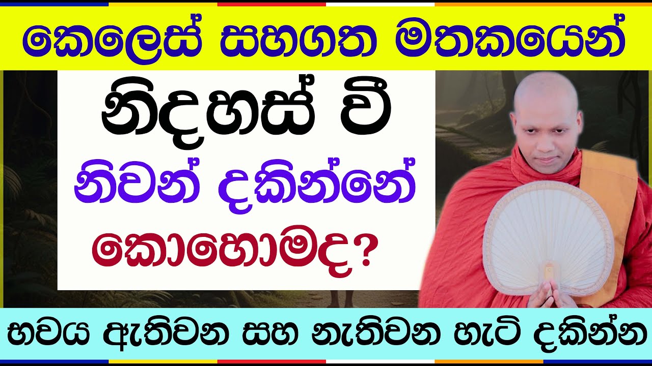 ආර්ය අෂ්ටාංගික මාර්ගයේ ගැඹුරු ස්පර්ශය | Hasalaka Seelawimala Thero | Vipassana | 3006