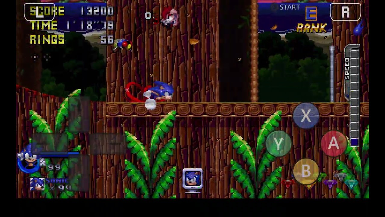 wood zone