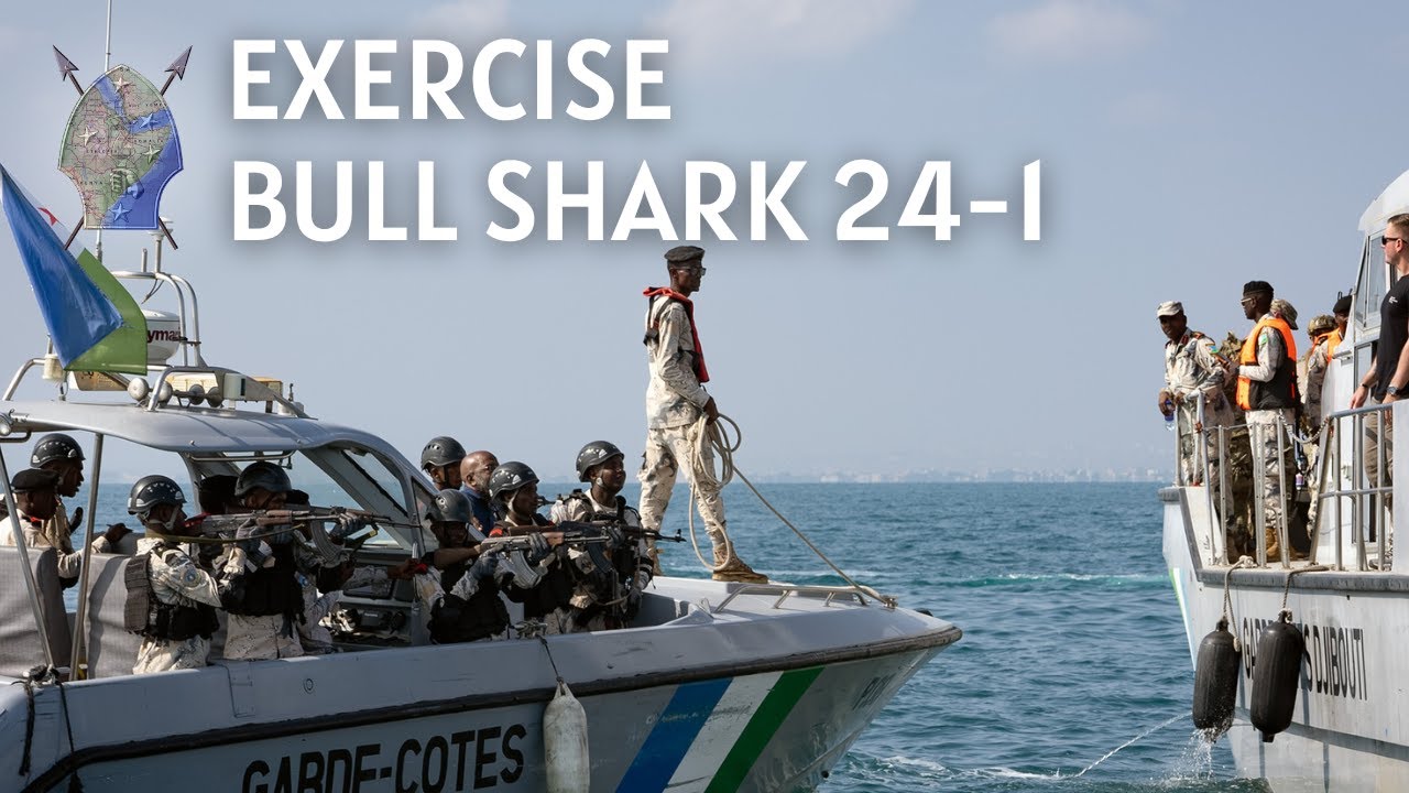 Exercise Bull Shark 24-1