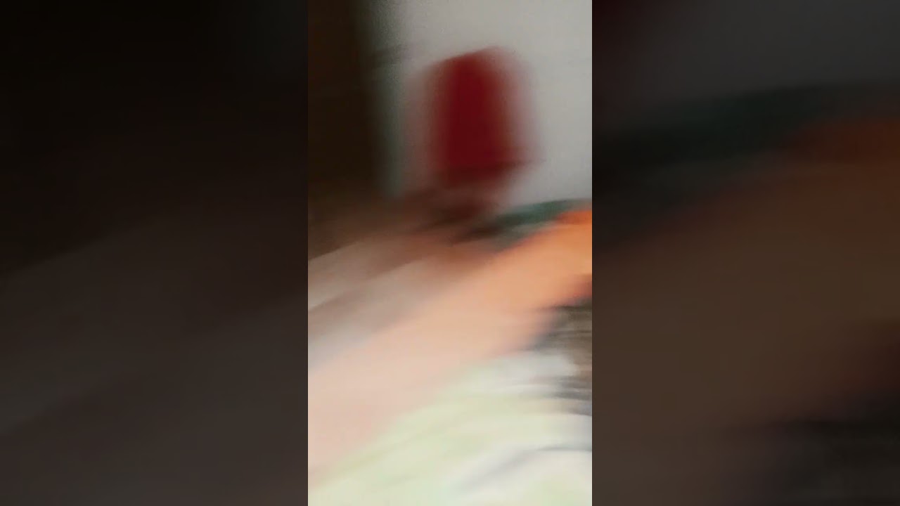 nuevo dinosaurio