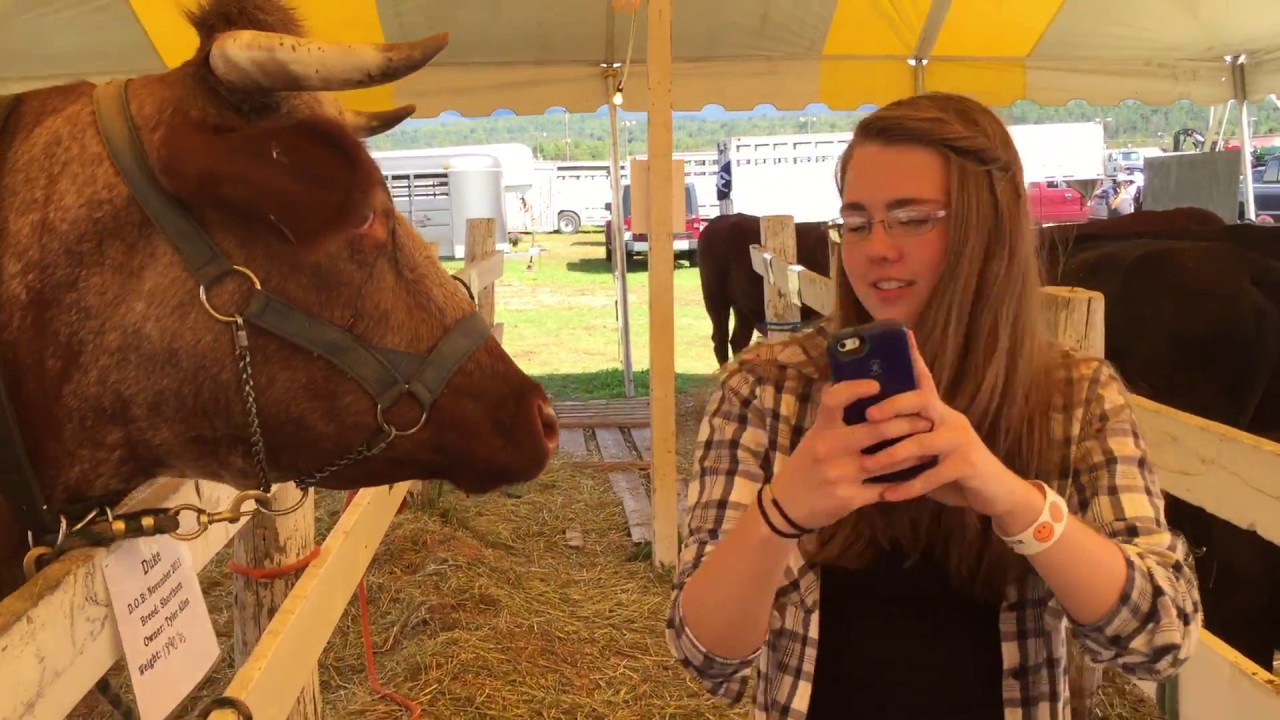 Lancaster Fair