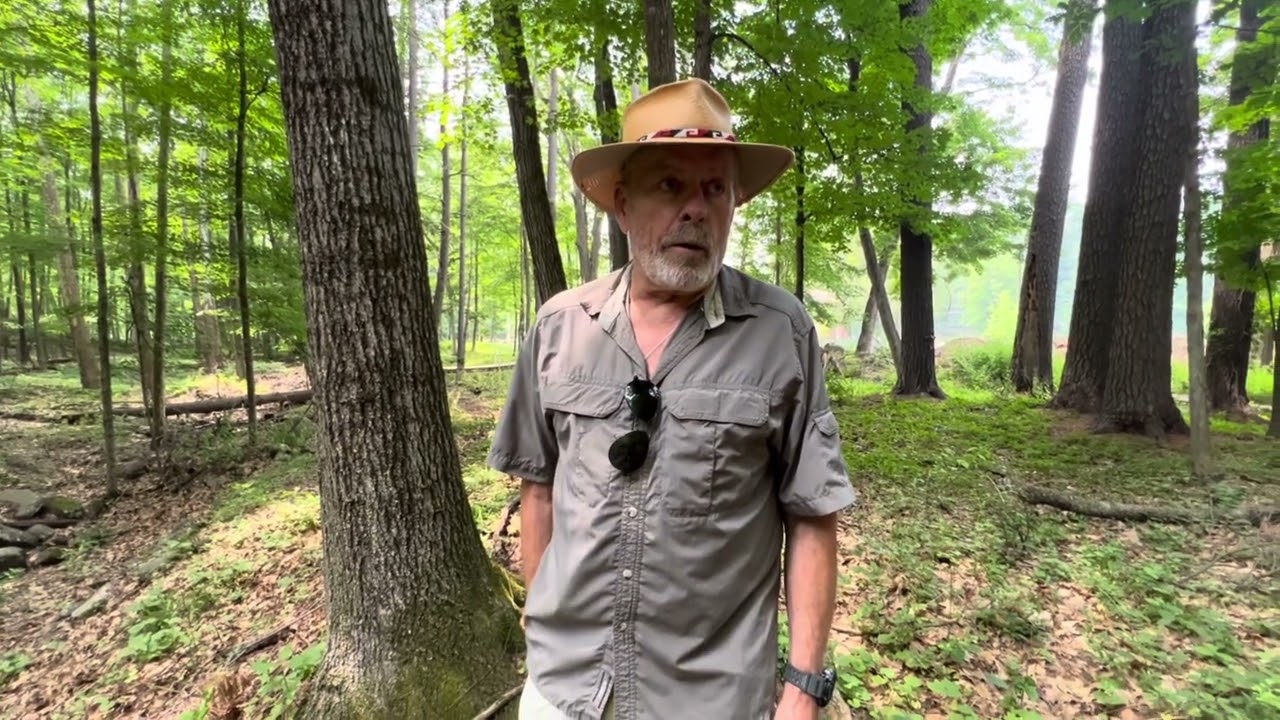 Bearsville Music and Nature Trail