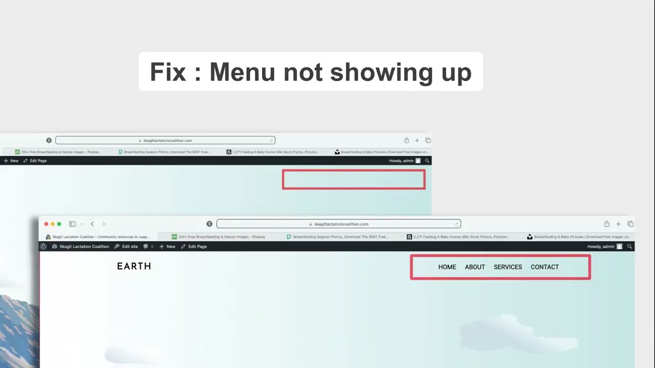 WordPress Menu Not Showing Up