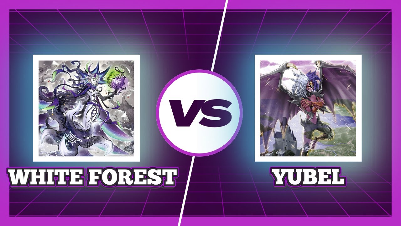 WHITE FOREST vs YUBEL | DB TOURNAMENT | Yu-Gi-Oh! gameplay August 2024