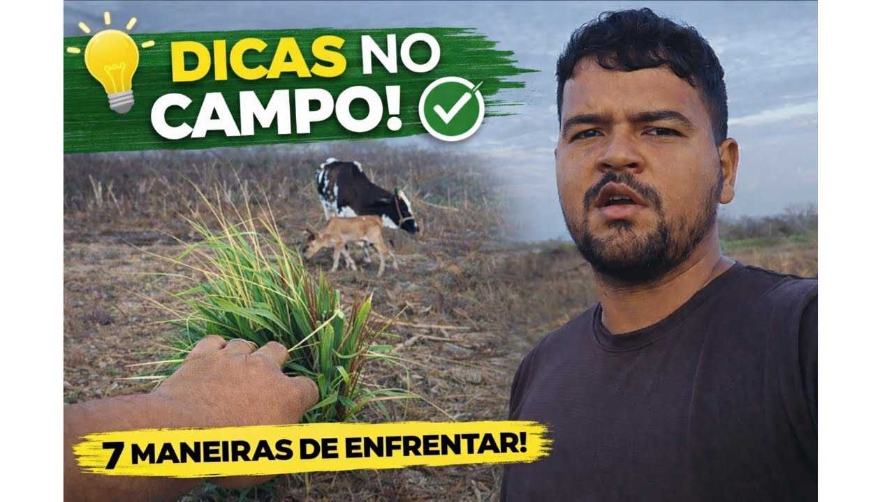 1° PASTEJO DO BEZERRO + DICAS PARA ENFRENTAR DESAFIOS NO CAMPO