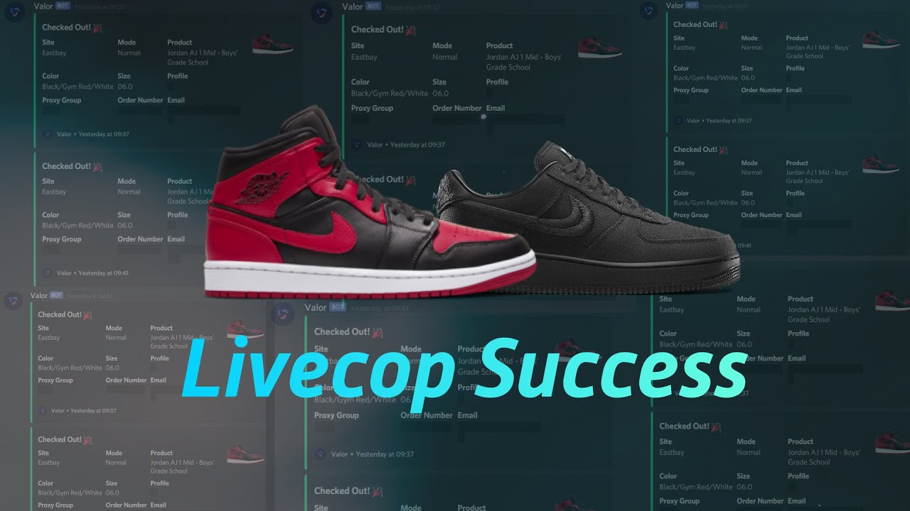 KDGS Jordan 1 Retro Banned Mid/Stussy Air Force 1 Live Cop - ValorAIO and TSB