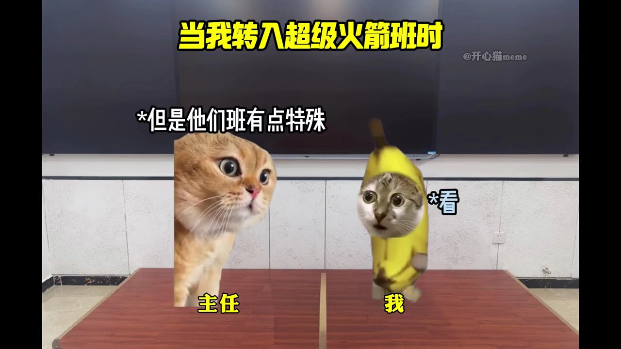 當我從戒網癮學校逃出後#貓meme #真實還原 #抽象