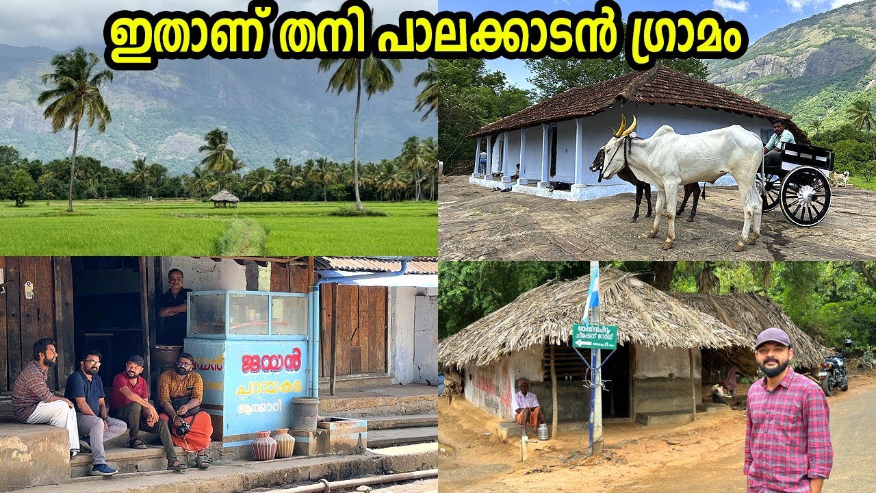 നമ്മൾ കാണാത്ത പാലക്കാടിന്റെ ഉൾഗ്രാമങ്ങൾ ഇപ്പോഴും ഇങ്ങനെയാണ്.Remote Villages of Palakkad