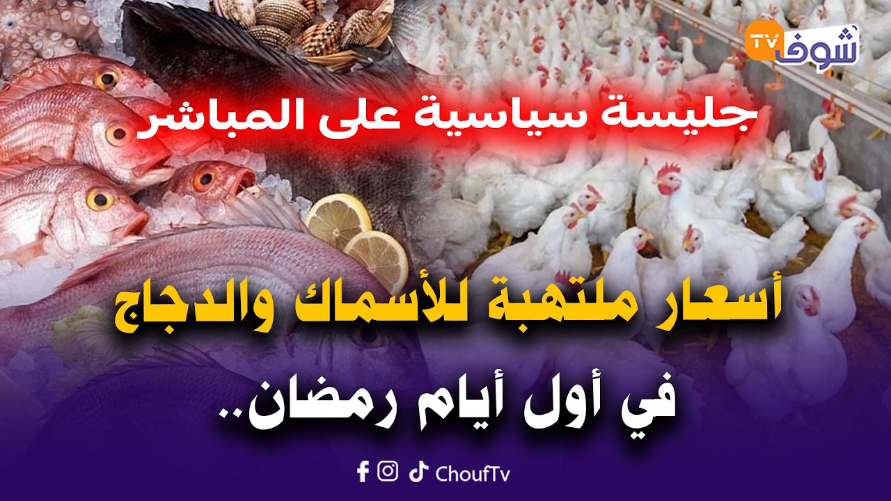 جليسة سياسية على المباشر: أسعار ملتهبة للأسماك والدجاج في أول أيام رمضان وتفاصيل الدعم المباشر