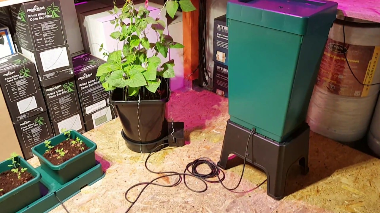 Autopot 1pot 15L- easy2grow 2x8.5L - 1pot XL 25L