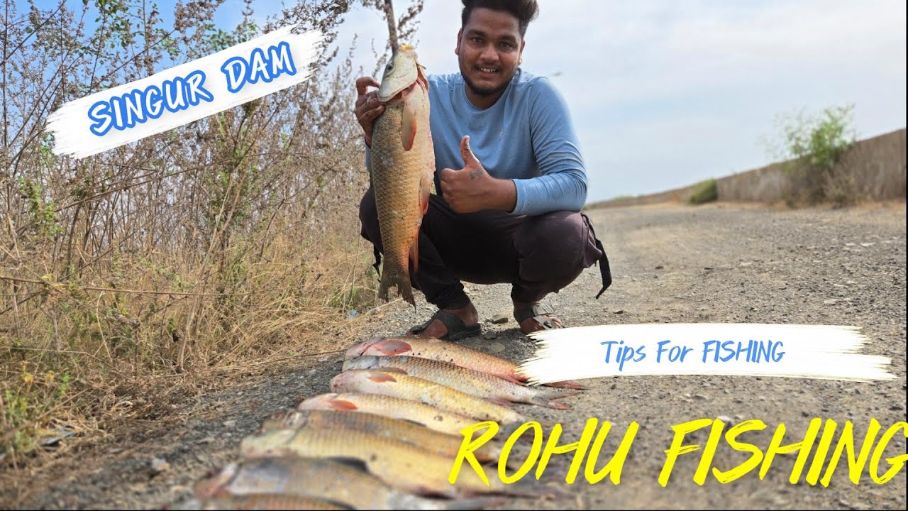SINGUR DAM FISHING ll HYDERBAD FISHING ll BIG ROHU FISH