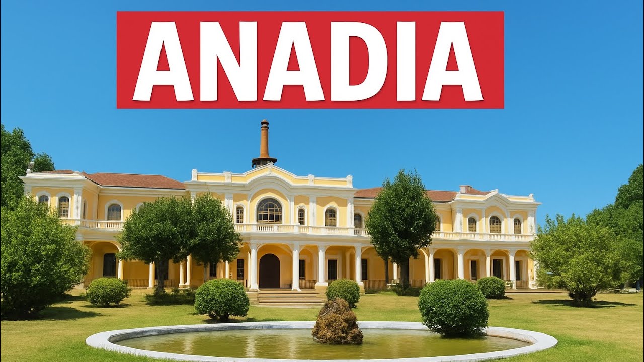 O que fazer em ANADIA no verão!