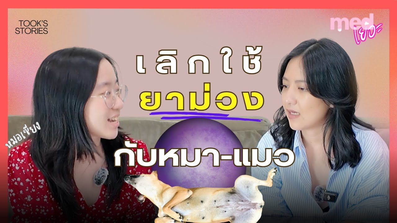 หยุดเถอะ! ใช้ยาม่วงกับหมาแมวเพื่อรักษาโรคผิวหนัง และเชื้อราเนี่ยนะ?