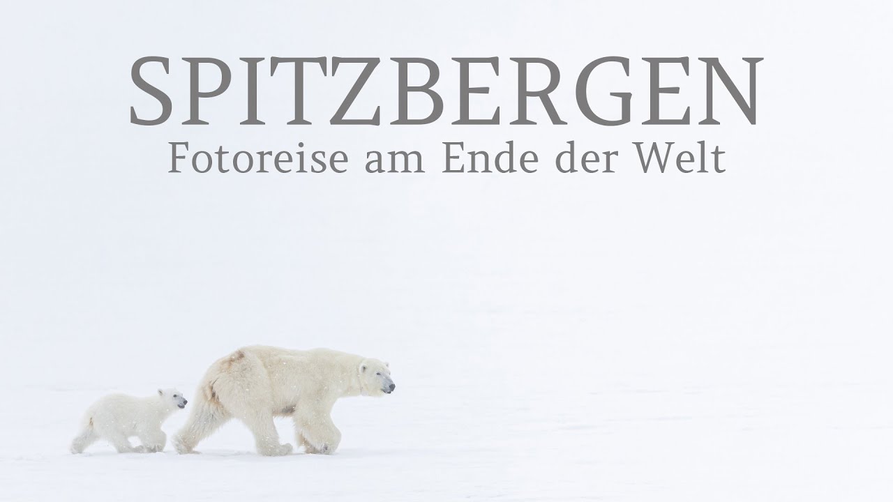 Spitzbergen - Fotoreise am Ende der Welt