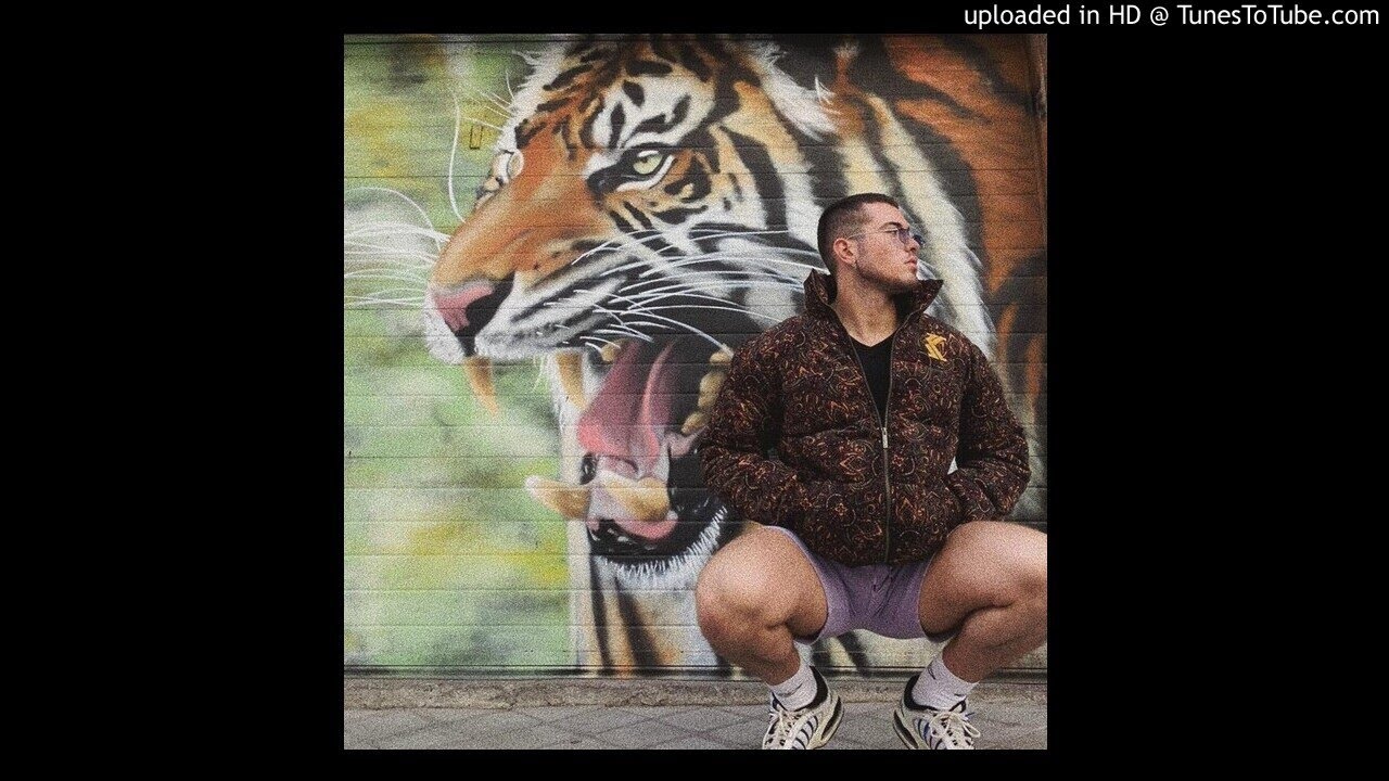 ZADE - Amor Animal (Prod. JONSAN)