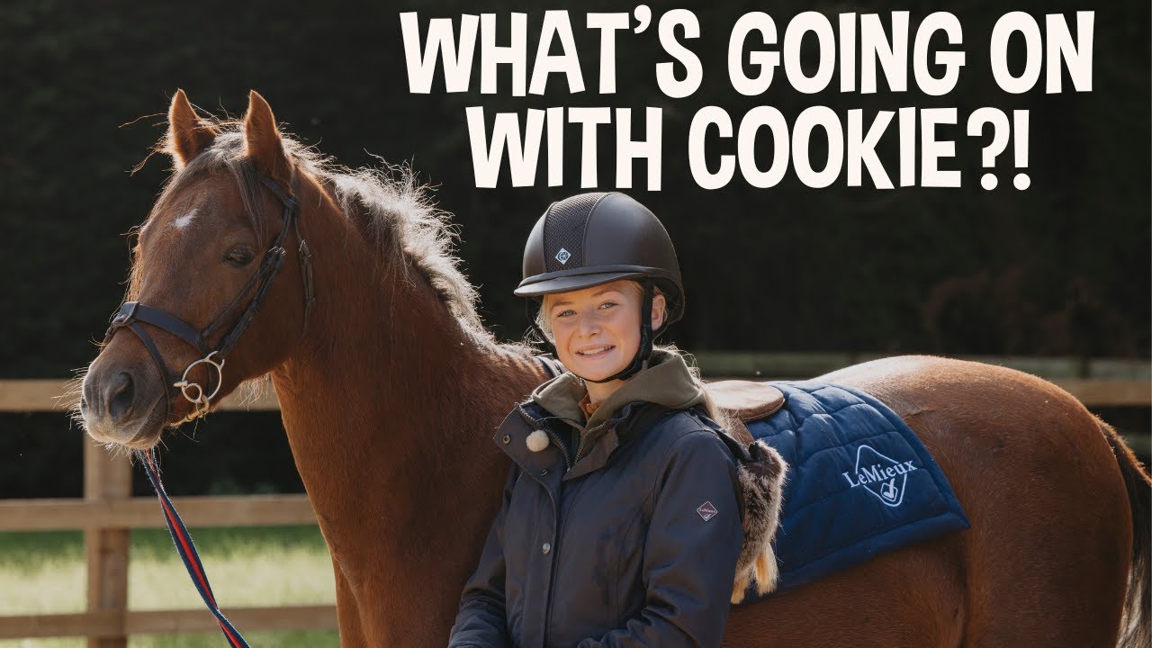 WHAT'S GOING ON WITH COOKIE?!