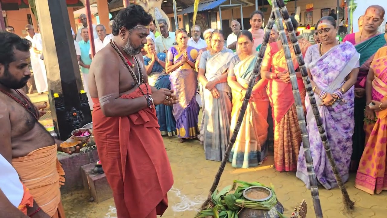 சரவணம்பட்டி பத்திரகாளியம்மன் திருக்கோவில் பொங்கல் 