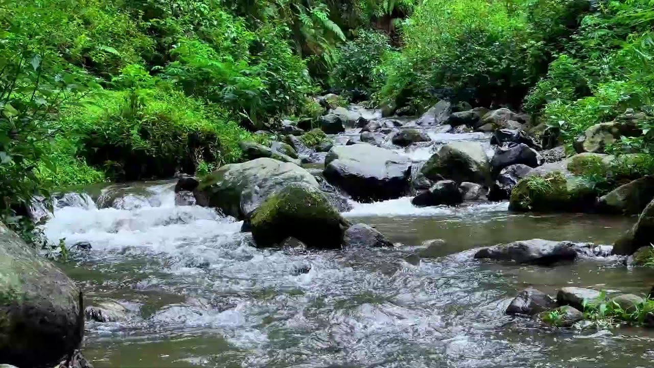Achieve deep calm with peaceful river ambience in bright forest daylight soothing your night