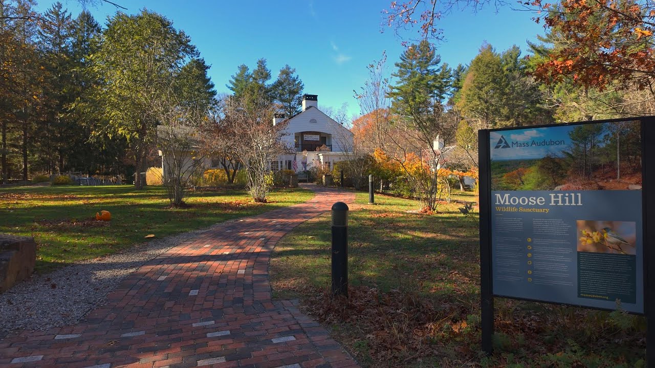 ⛰️ Mass Audubon's Oldest Gem! Moose Hill Wildlife Sanctuary Bluff Trail Hike