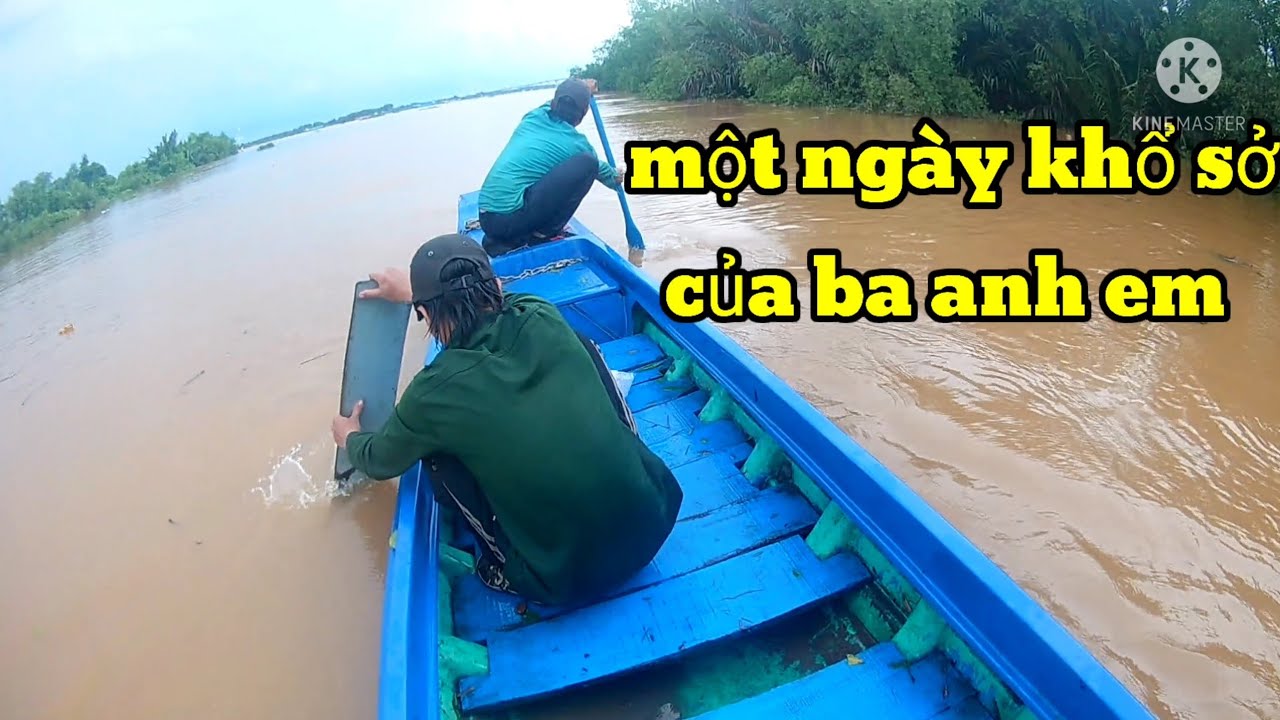 Một ngày đi săn ong Rừng khổ sở của 3 anh em mình