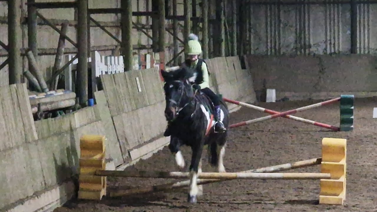 Horse JUMPING with PONY CLUB #Horse #pony #equestrian