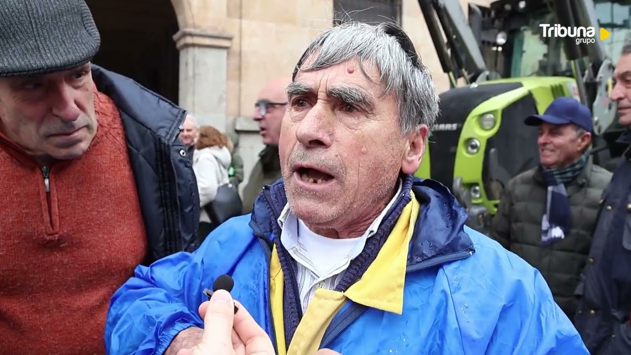 Manifestación apicultores Salamanca