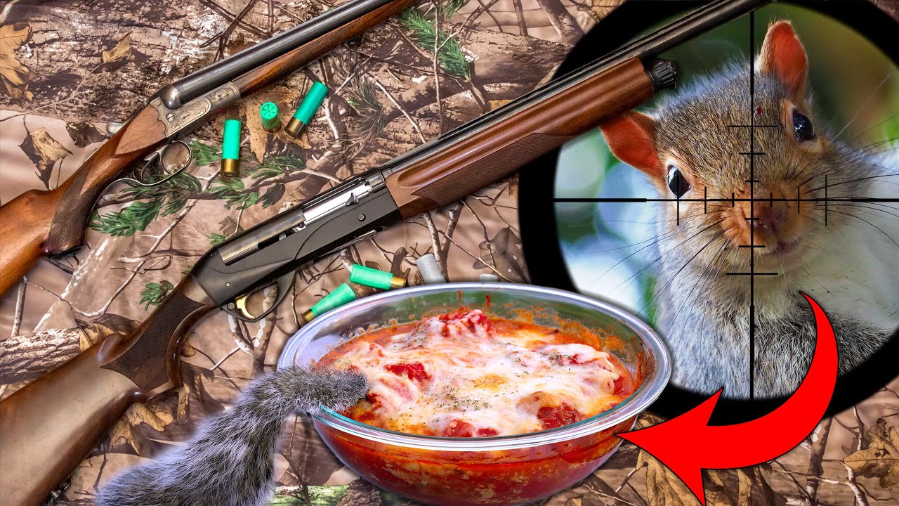 Shotgun Squirrel Hunt Catch and Cook