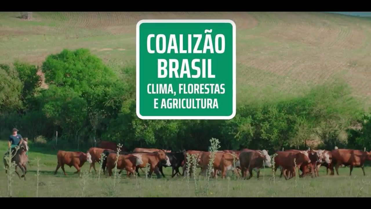 A import&acirc;ncia da rastreabilidade e transpar&ecirc;ncia na cadeia de commodities