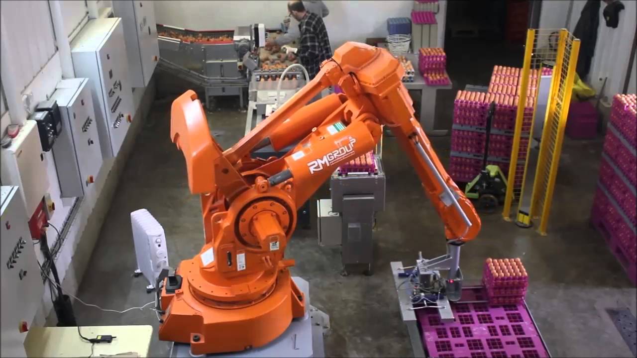 Eggs palletizer robot powered by Vuototecnica vacuum components