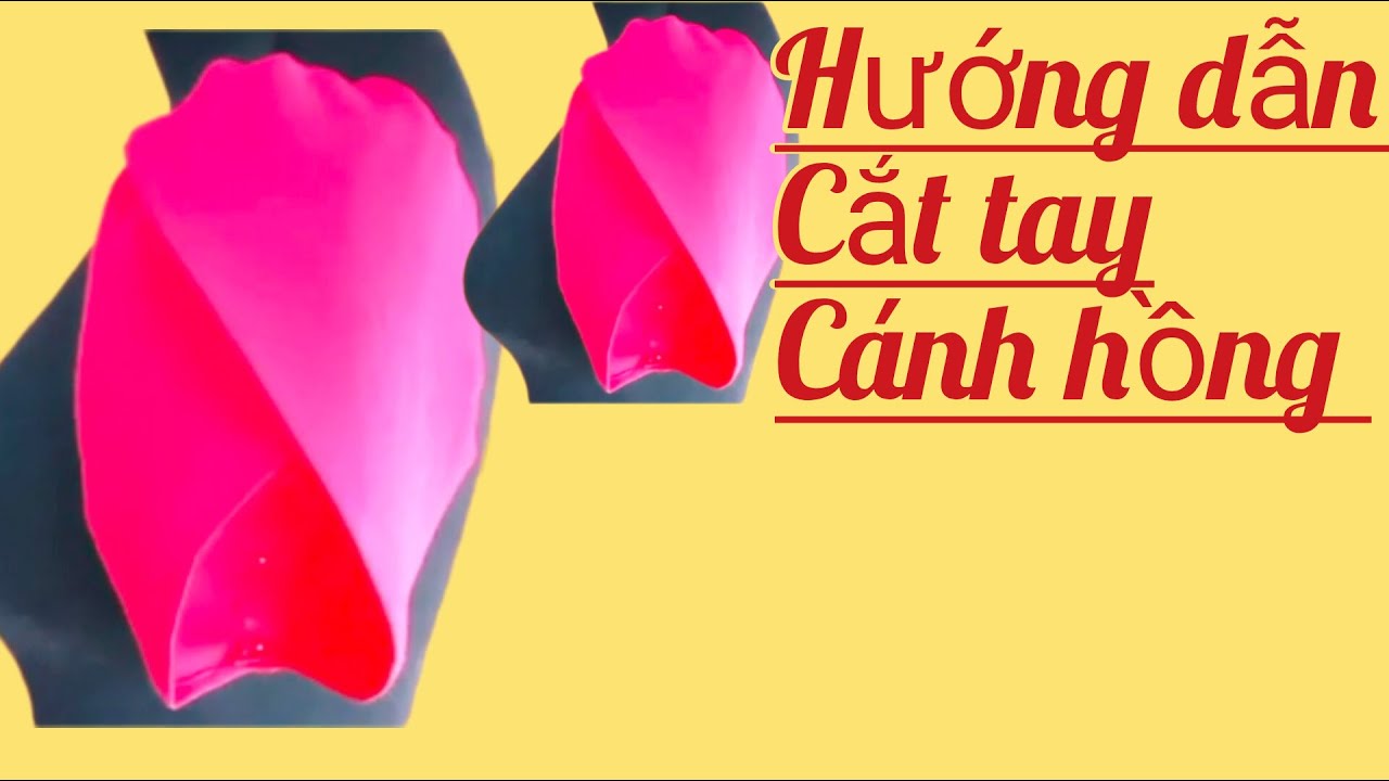 hướng dẫn cắt tay kiểu cánh hồng