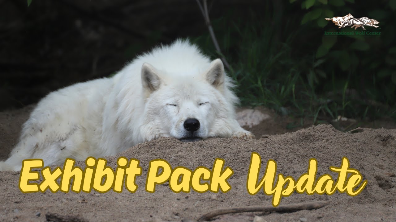 Exhibit Pack Update - 21 June 2025