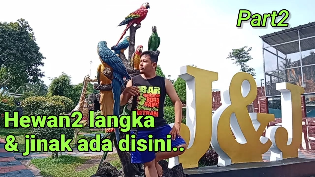 Review wisata kolam renang j&j kuningan part2