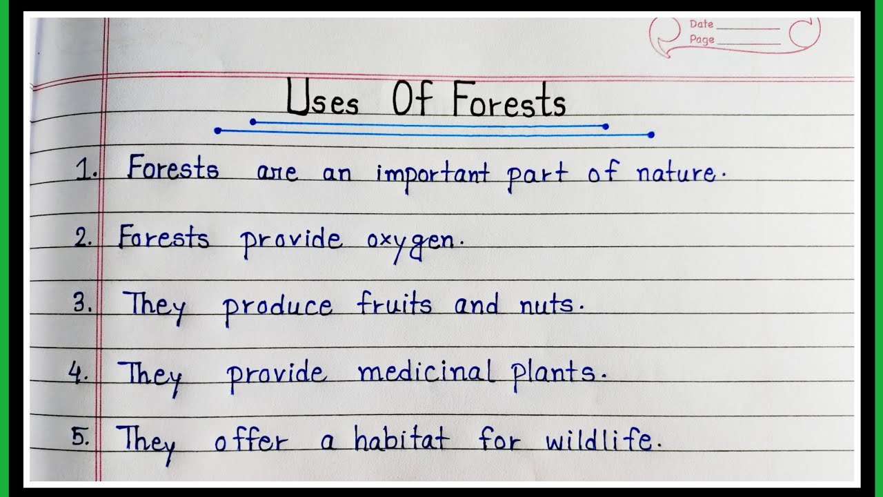15 Lines Essay On Uses Of Forests In English | 10 Easy And Simple Sentences About Uses Of Forests